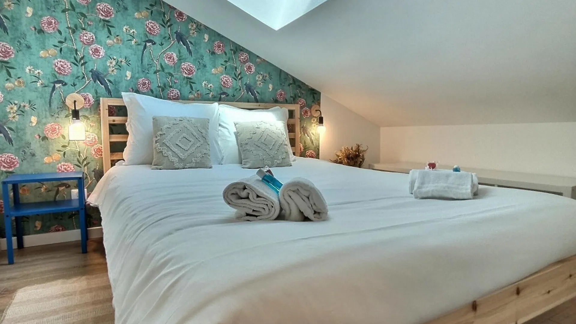 Le Nid Des Roses - Hyper Centre Apartment Albi France